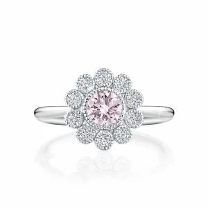 Calleija Rings*Zahara Platinum and 18ct Rose Gold 0.33ct Australian Argyle Pink Diamond™ with White Diamond Halo
